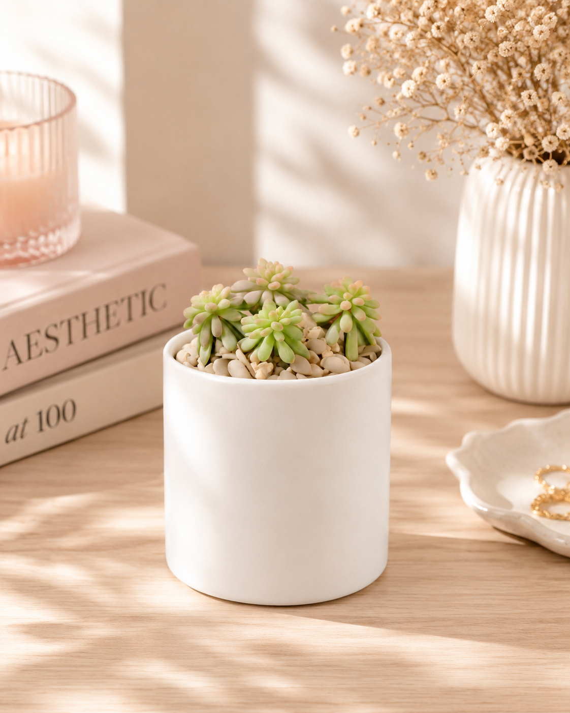 Faux Succulent Mini Plant – Realistic Desk Decor Gift Box