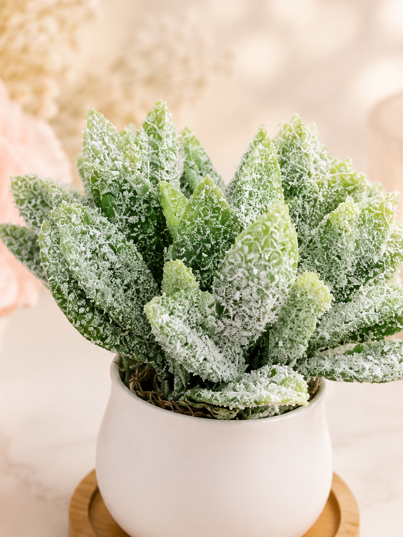 Frosted Leaves Mini Pot with Coaster