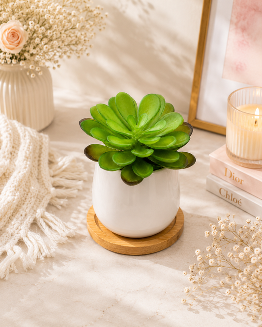 Faux Succulent Mini Plant – Realistic Desk & Gift Box Decor