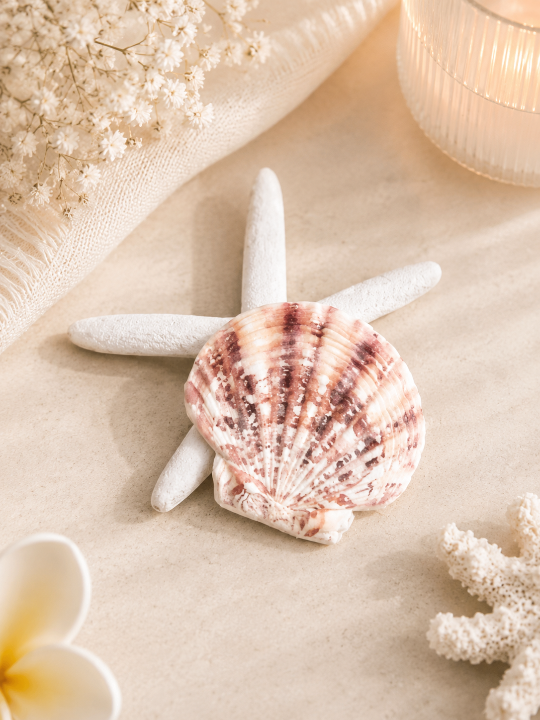 Seashell Add-On Set