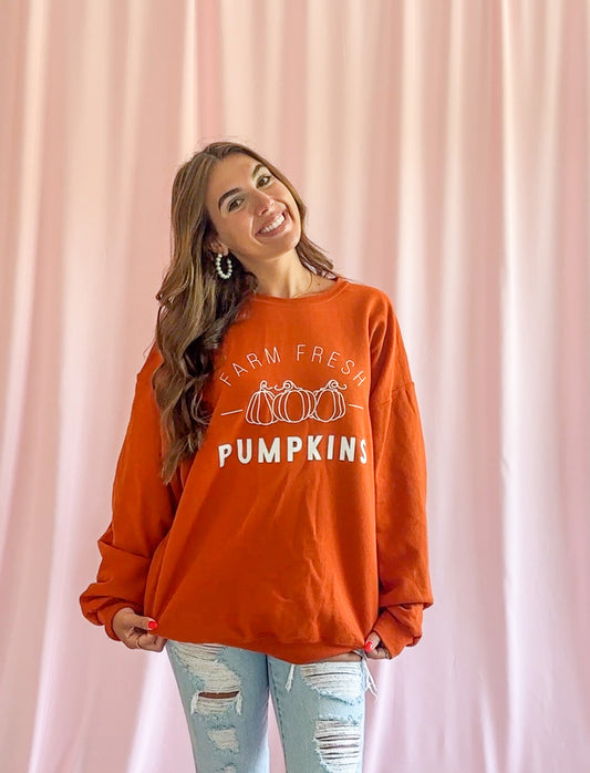 Soft Knit Pumpkin Sweater Cozy Fall Fashion Comfortable Autumn Top Farm Fresh Patch Design Relaxed Fit Style Casual Weekend Wear Perfect Seasonal Wardrobe Essential Charming Farmhouse Aesthetic Trendy Oversized Option Available Harvest